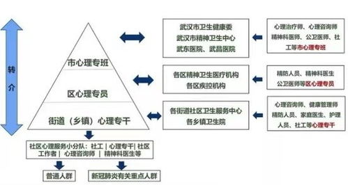 武汉市精神卫生中心 打造全国一流的精神卫生专业机构